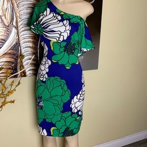 Plus size Hawaiian dress